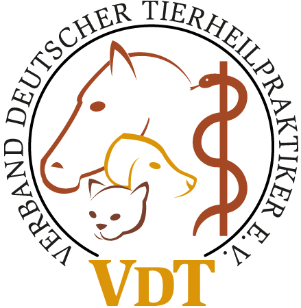 VDT